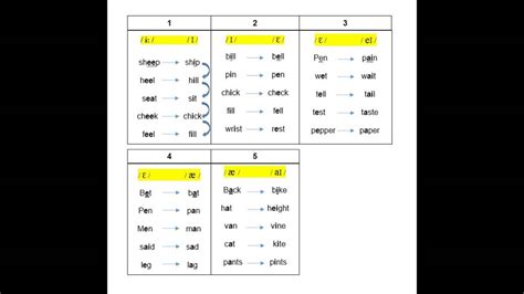 Mid central vowel